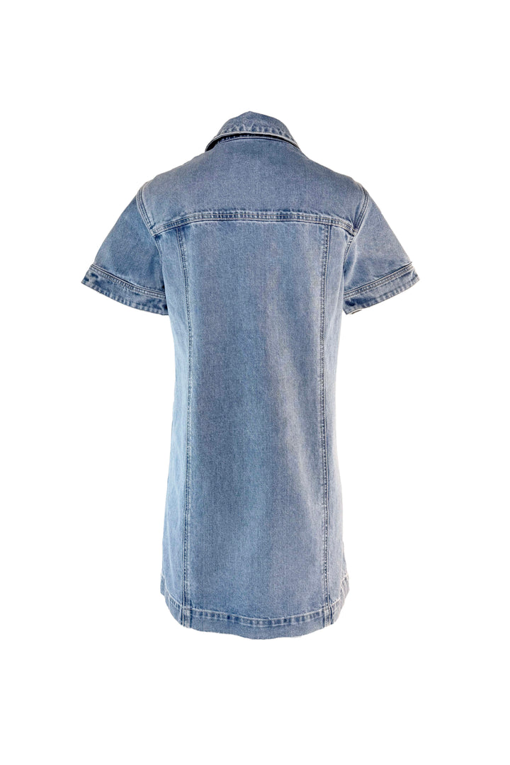 VERONICA BEARD OTTO POLO DRESS