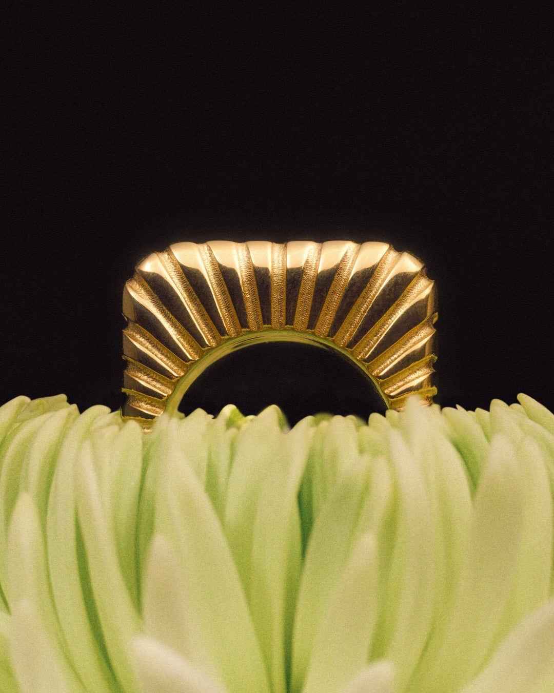 Where Italian Craftsmanship Meets LA Cool