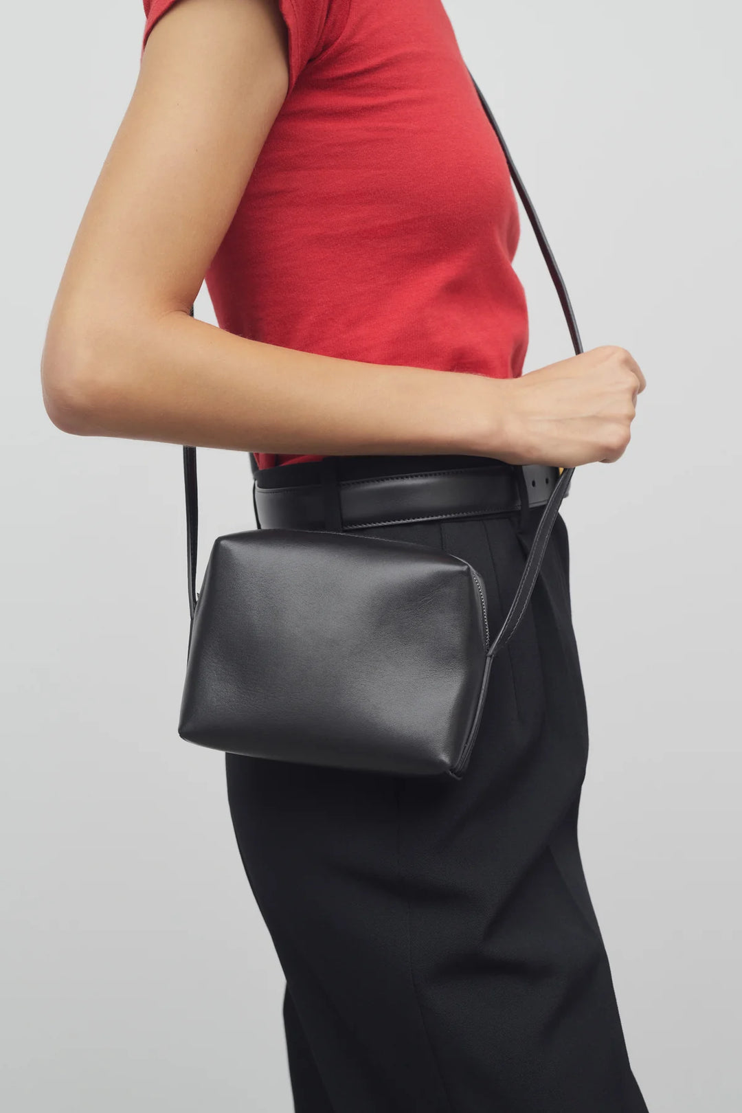 THE ROW REGENT CROSSBODY BAG