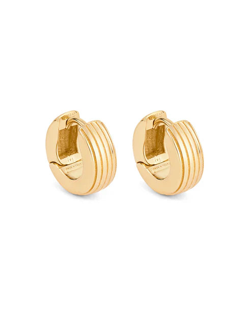 Pair of gold hoop earrings on a white background