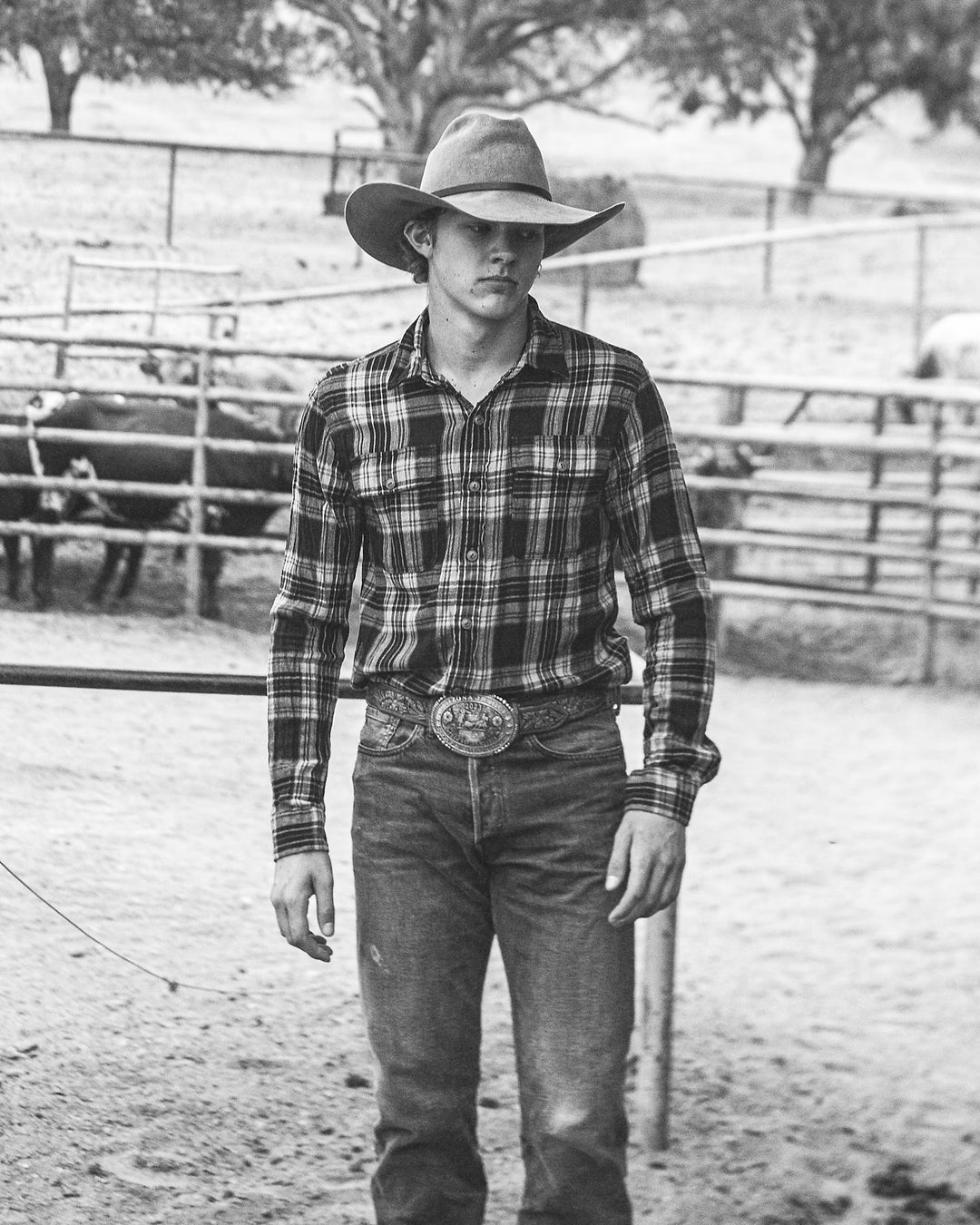 Person wearing a plaid shirt, jeans, and cowboy hat in an outdoor setting with horses and a fence.