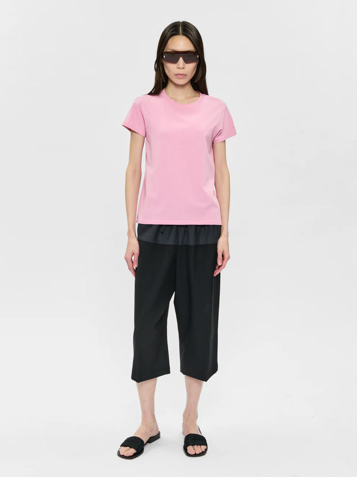 Woman wearing a pink top and black pants on a white background