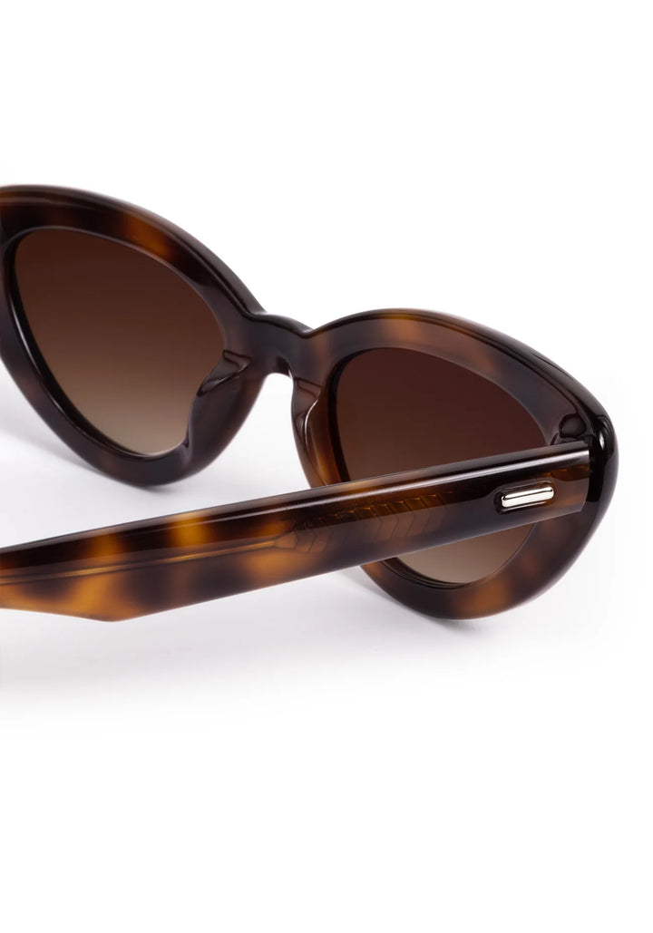 Tortoiseshell sunglasses with brown lenses on a white background