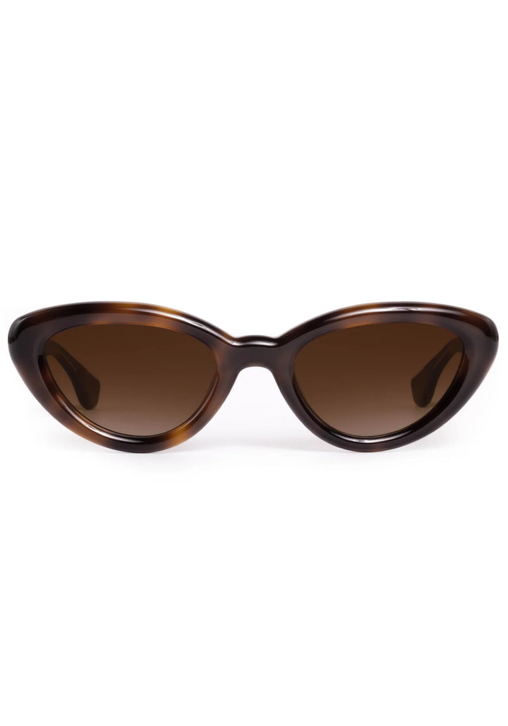 Brown cat-eye sunglasses on a white background