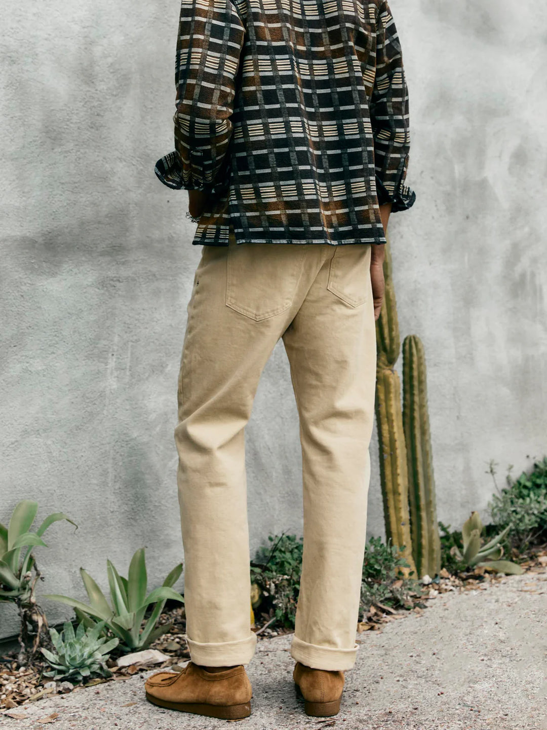 Person wearing a plaid shirt and beige pants standing next to a cactus plant against a gray wall.