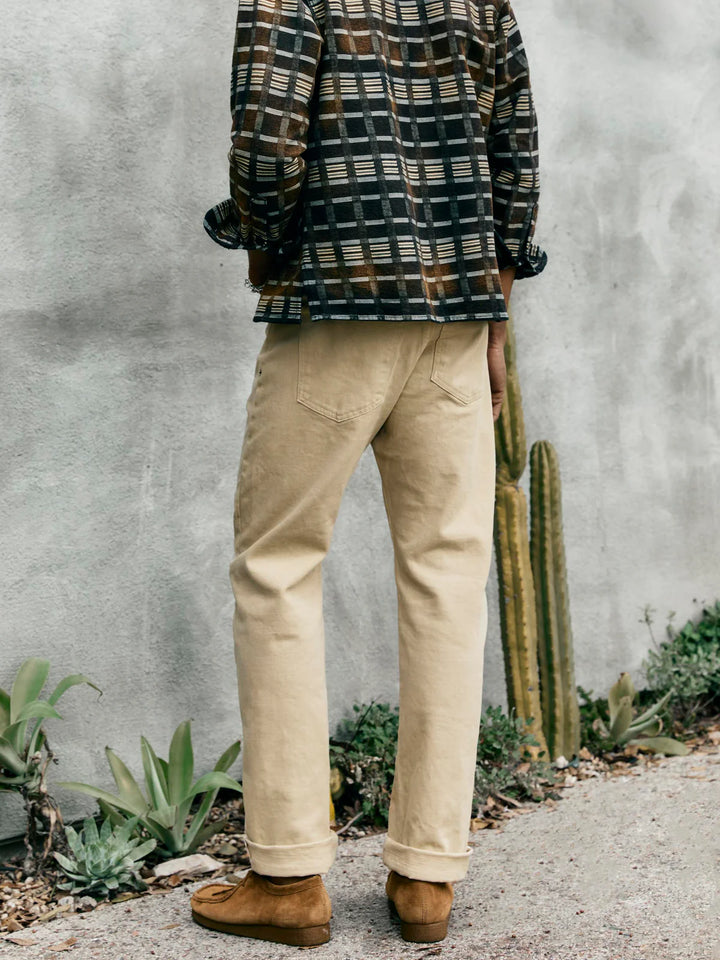 Person wearing a plaid shirt and beige pants standing next to a cactus plant against a gray wall.